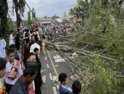 Tragedi Pohon Tumbang di Alun-alun Pemalang Saat Salat Idul Fitri