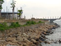 Pembangunan Resort dan Perkantoran Mewah di Pearl Of Java (POJ), Bencana bagi Ekosistem Laut Semarang